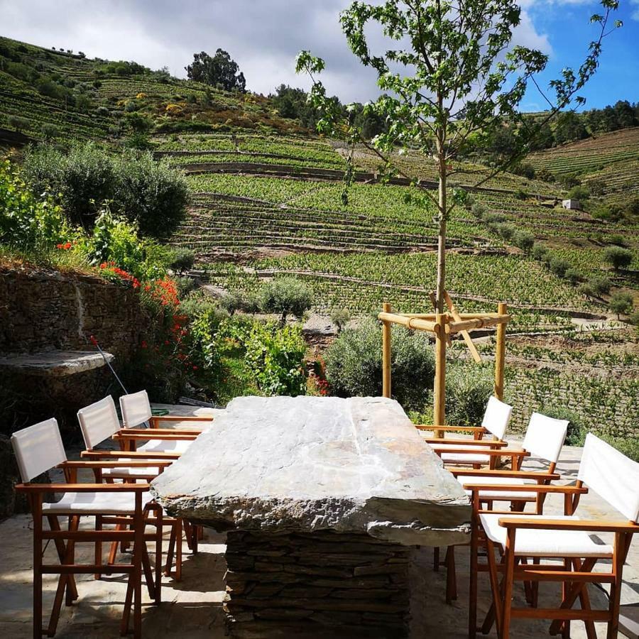 Quinta Das Fontainhas - Douro Valley Villa Tabuaco Exterior photo