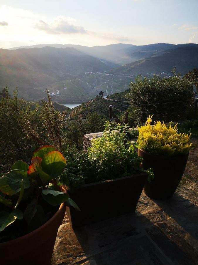 Quinta Das Fontainhas - Douro Valley Villa Tabuaco Exterior photo